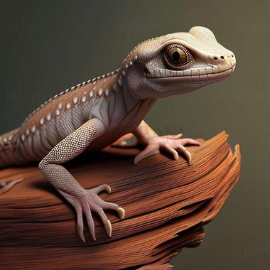 3D модель Hadrodactylus gracilipes (STL)